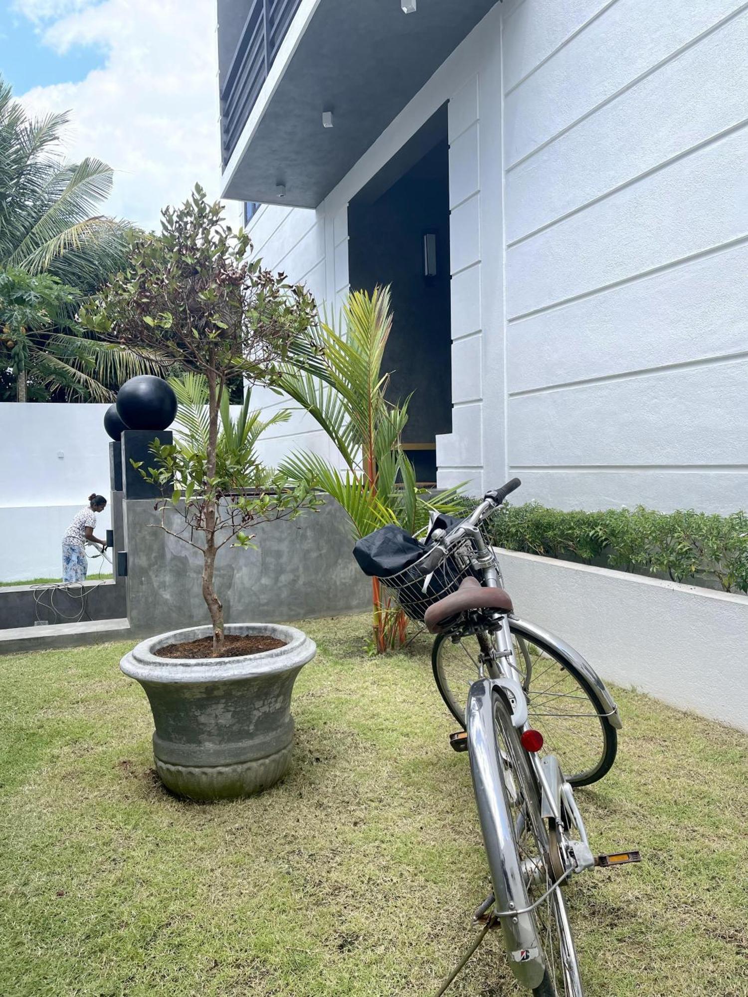 D' Art Villa Retreat And Spa تانجالي المظهر الخارجي الصورة