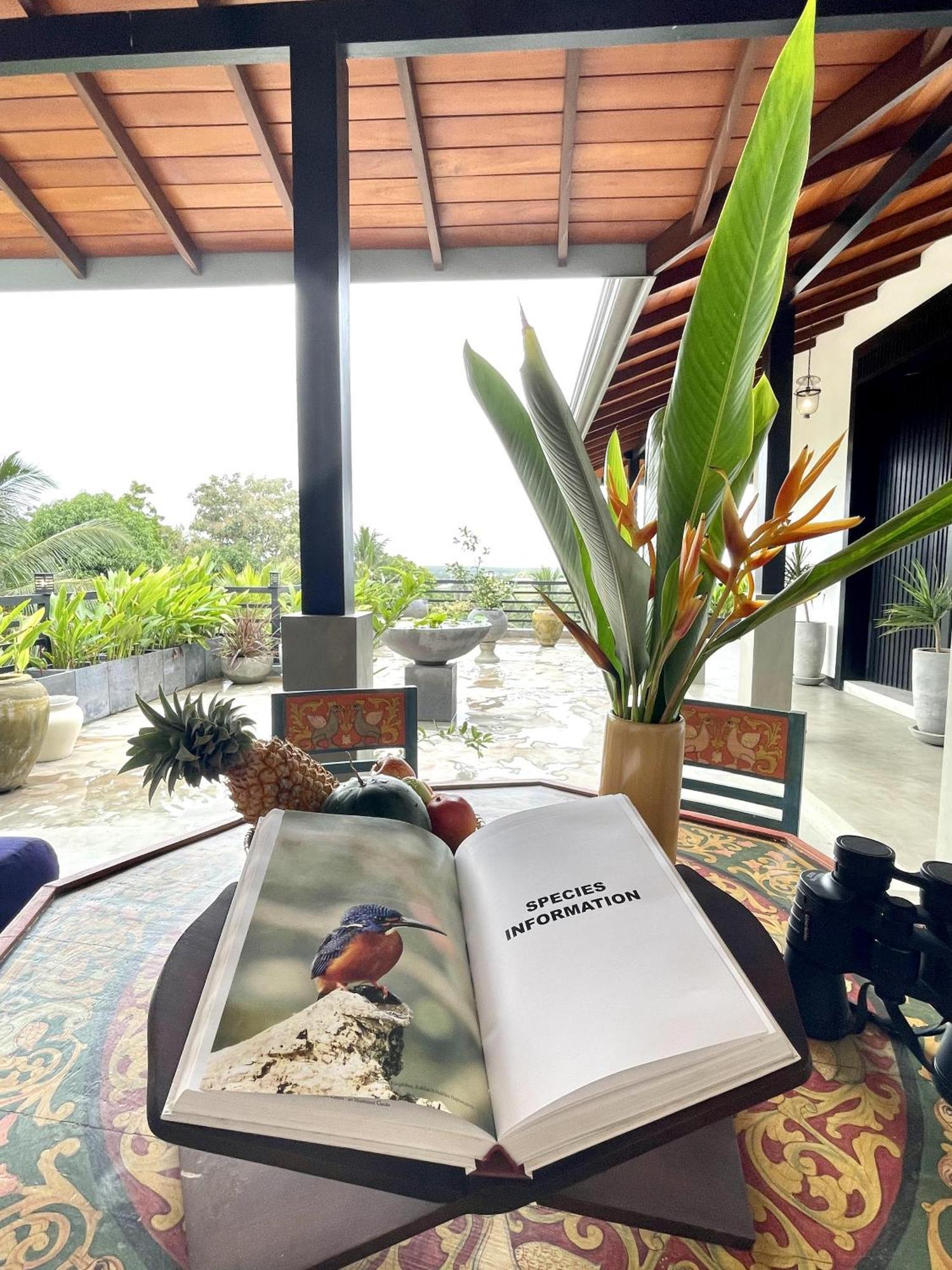 D' Art Villa Retreat And Spa تانجالي المظهر الخارجي الصورة